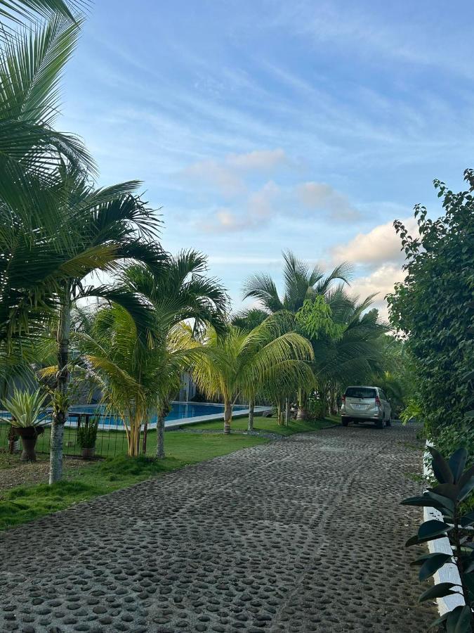Hill View Home Stay Đảo Đảo Panglao Ngoại thất bức ảnh